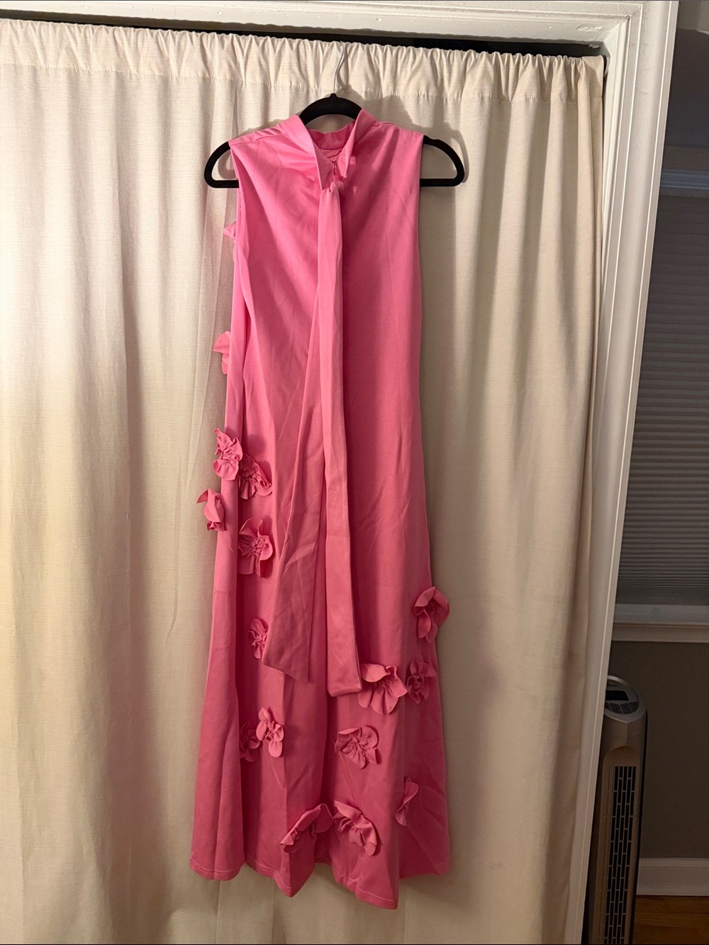 Sleeveless Pink Maxi Dress with 3D Floral Appliqués - Picture 2 of 5